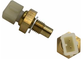 Sensor De Temperatura Del Refrigerante (CTS)