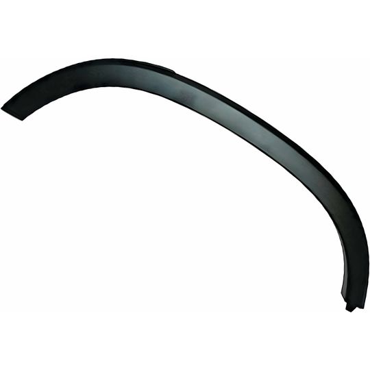 generica-moldura-arco-trasera-95298241-0