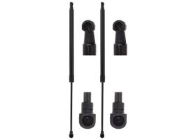 Par De Amortiguadores De 5a Puerta