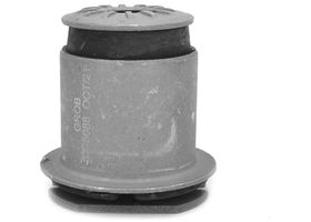 Buje De Brazo Diferencial Delantero Interior
