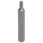 bgs-punta-torx-t-star-t30-x-75-mm-3-8-0