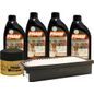 fram-kit-de-aceite-sintetico-10w30-filtro-de-aire-y-filtro-para-aceite-sintetico-6-piezas-hyundai-veloster-2012-2017-veloster-l4-1-6l-0