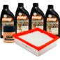 fram-kit-de-aceite-sintetico-10w30-filtro-de-aire-y-filtro-para-aceite-sintetico-6-piezas-ford-figo-2016-2018-figo-l4-1-5l-0