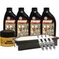 fram-autolite-kit-de-afinacion-con-aceite-5w30-sintetico-bujias-iridio-y-filtros-de-aceite-aire-10-piezas-kia-rio-2012-2017-rio-l4-1-6l-0