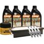 fram-autolite-kit-de-afinacion-con-aceite-10w30-sintetico-bujias-iridio-y-filtros-de-aceite-aire-10-piezas-hyundai-accent-2012-2017-accent-l4-1-6l-0
