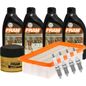 fram-autolite-kit-de-afinacion-con-aceite-10w30-sintetico-bujias-cobre-y-filtros-de-aceite-aire-10-piezas-kia-rio5-2006-2008-rio5-l4-1-6l-0