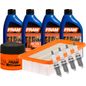 fram-autolite-kit-de-afinacion-con-aceite-20w50-mineral-bujias-iridio-y-filtros-de-aceite-aire-10-piezas-kia-rio-2006-2008-rio-l4-1-6l-0