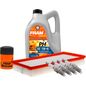 fram-autolite-kit-de-afinacion-con-aceite-15w40-mineral-bujias-cobre-y-2-filtros-7-piezas-volkswagen-beetle-2001-2005-beetle-l4-2-0l-l4-1-8l-0