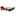fram-kit-de-filtro-de-aire-y-filtro-de-aceite-2-piezas-chevrolet-aveo-2011-2017-aveo-l4-1-6l-0