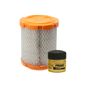 fram-kit-de-filtro-de-aire-y-filtro-de-aceite-sintetico-2-piezas-jeep-compass-2011-2017-compass-l4-2-4l-l4-2-0l-0