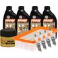 fram-autolite-kit-de-afinacion-con-aceite-5w30-sintetico-bujias-iridio-y-2-filtros-10-piezas-kia-rio-2006-2008-rio-l4-1-6l-0