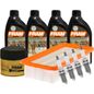 fram-autolite-kit-de-afinacion-con-aceite-10w30-sintetico-bujias-iridio-y-2-filtros-10-piezas-hyundai-accent-2006-accent-l4-1-6l-0
