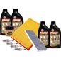 fram-autolite-kit-de-afinacion-con-aceite-5w30-sintetico-bujias-cobre-y-3-filtros-11-piezas-chevrolet-chevy-1994-2012-chevy-l4-1-6l-0