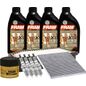 fram-autolite-kit-de-afinacion-con-aceite-5w30-sintetico-bujias-iridio-y-3-filtros-11-piezas-kia-rio-2012-2017-rio-l4-1-6l-0