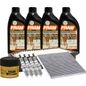 fram-autolite-kit-de-afinacion-con-aceite-10w30-sintetico-bujias-iridio-y-3-filtros-11-piezas-kia-rio-2012-2017-rio-l4-1-6l-0 fram-autolite-kit-de-afinacion-con-aceite-10w30-sintetico-bujias-iridio-y-3-filtros-11-piezas-kia-rio-2012-2017-rio-l4-1-6l-0