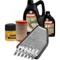 fram-autolite-kit-de-afinacion-con-aceite-5w30-sintetico-bujias-iridio-y-3-filtros-11-piezas-mercury-mariner-2009-2011-mariner-v6-3-0l-0