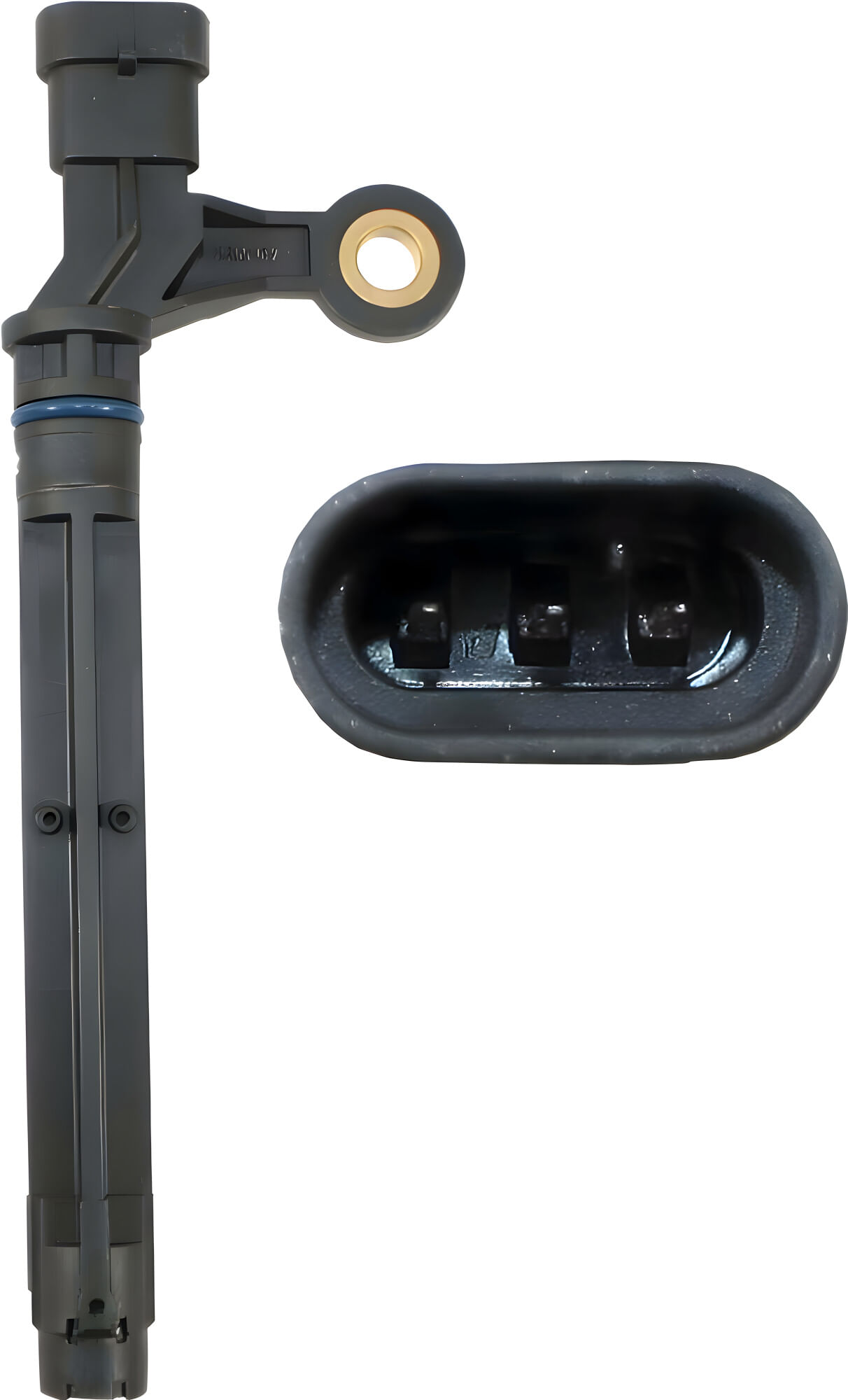 Sensor De Posición Del Cigüeñal (CKP)