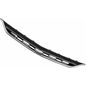 tong-yang-parrilla-473840-0