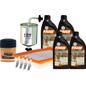 fram-autolite-kit-de-afinacion-con-aceite-10w30-sintetico-bujias-cobre-y-3-filtros-11-piezas-nissan-tsuru-1995-2012-tsuru-l4-1-6l-l4-2-0l-0