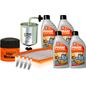 fram-autolite-kit-de-afinacion-con-aceite-10w30-mineral-bujias-cobre-y-3-filtros-11-piezas-nissan-tsuru-1995-2012-tsuru-l4-1-6l-l4-2-0l-0