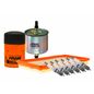fram-autolite-kit-de-bujias-platino-y-filtros-para-afinacion-para-aceite-mineral-9-piezas-mercury-sable-1986-1995-sable-v6-3-0l-v6-3-8l-0