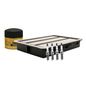 fram-autolite-kit-de-bujias-iridio-y-filtros-para-afinacion-para-aceite-sintetico-6-piezas-kia-sportage-2017-2020-sportage-l4-2-0l-l4-2-4l-0
