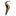 italika-original-cubierta-amarillo-con-negro-izquierda-italika-at125-2017-2020-at125-0