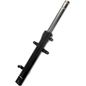 italika-original-amortiguador-de-suspension-delantero-izquierdo-italika-serie-ds-2018-2019-ds150g-0