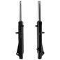 italika-original-par-de-amortiguadores-de-suspension-delanteros-italika-serie-xt-2020-2021-xt125rt-0