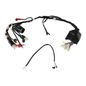 italika-original-arnes-principal-italika-serie-dm-2021-dm125-0