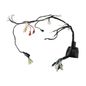 italika-original-arnes-principal-italika-serie-dm-2022-2024-dm250x-0