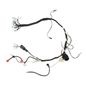 italika-original-arnes-principal-italika-serie-ft-2023-2025-ft150-gts-0