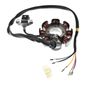 italika-original-estator-italika-serie-dt-2020-2024-dt150-sport-0