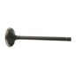italika-original-valvula-de-admision-italika-serie-dt-2021-dt125clasica-0