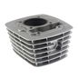 italika-original-cilindro-de-motor-gris-italika-125fl-2022-2025-125fl-gps-0