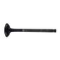 italika-original-valvula-de-escape-italika-125fl-2022-2025-125fl-gps-0