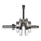 italika-original-cigenal-italika-serie-dt-2017-2018-dt150-sport-0