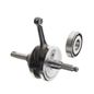 italika-original-cigenal-italika-serie-dt-2020-dt250-sport-0