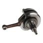 italika-original-cigenal-italika-serie-vort-x-2021-2024-vort-x-300r-0