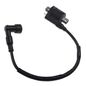 italika-original-bobina-de-encendido-italika-serie-rt-2020-2025-rt200-0