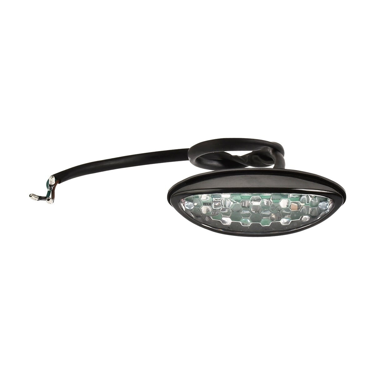 Calavera Con Leds Trasera