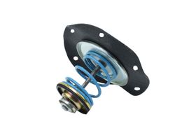 Kit De Reparación Para Bomba De Combustible Mecánica