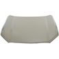 tong-yang-cofre-lamina-chevrolet-s10-2023-2024-s10-max-0
