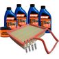 fram-autolite-kit-de-afinacion-con-aceite-mineral-20w50-bujias-doble-platino-y-2-filtros-10-piezas-chevrolet-aveo-2018-2022-aveo-l4-1-5l-0