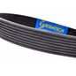 rodatech-banda-accesorios-micro-v-dodge-ram-2008-2010-ram-5500-l6-6-7l-0