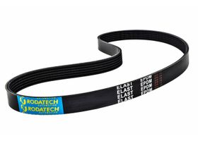 Banda Accesorios Elástica