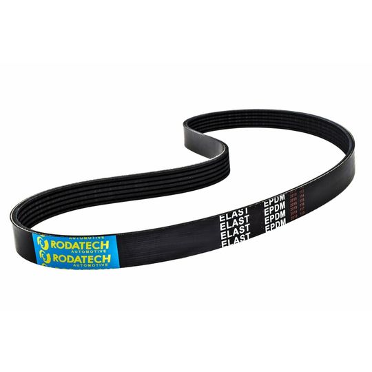 rodatech-banda-accesorios-elastica-ford-focus-2005-2012-focus-l4-2-0l-0