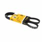 continental-banda-accesorios-serpentina-direccion-hidraulica-nissan-urvan-2000-2008-urvan-l4-2-4l-0