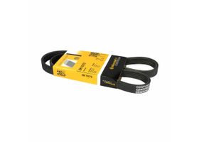 Banda Accesorios Serpentina Aire Acondicionado Y Alternador, Alternador
