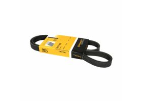 Banda Accesorios Serpentina Alternador Con Aire Acondicionado